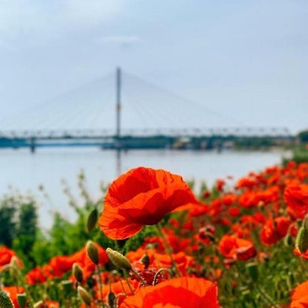 Amira Apartman Komarno Bagian luar foto